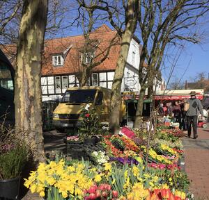 Wochenmarkt