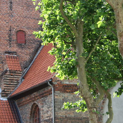 Außenansicht der St.-Nicolai-Kirche