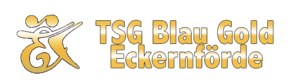 Logo TSG Blau Gold