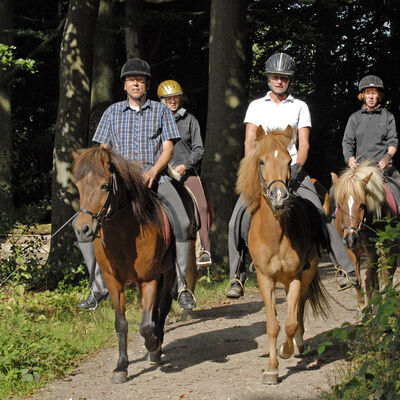 Reitergruppe bei einem Ausritt durch den Wald