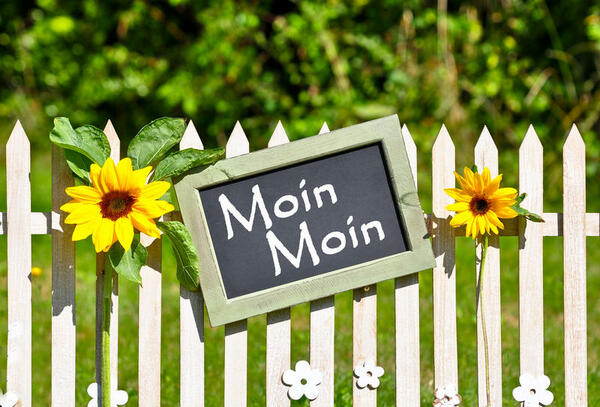Moin Moin