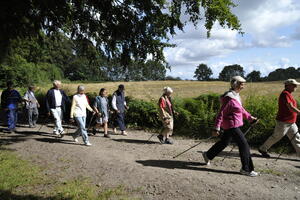 Walkinggruppe auf einem Feldweg