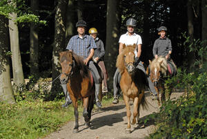 Eine Reitergruppe bei einem Ausritt durch den Wald.