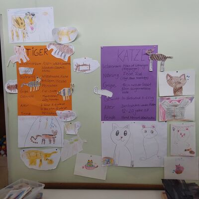Steckbrief Tiger und Katze