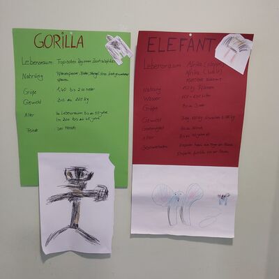 Steckbrief Gorilla und Elefant